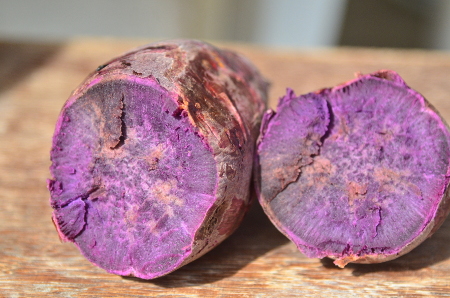 Leia mais sobre o artigo Epagri desenvolve batata-doce que protege contra doenças