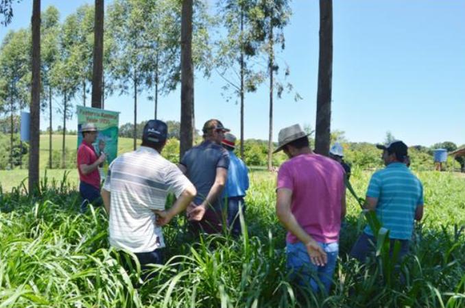 Read more about the article Epagri realiza atividade voltada à bovinocultura leiteira em Xaxim