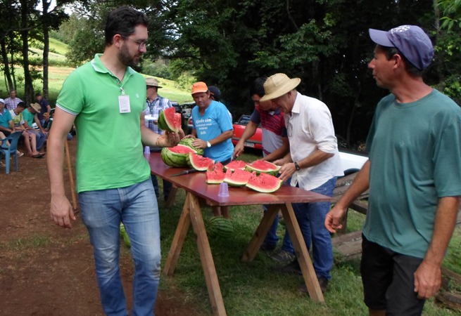 Leia mais sobre o artigo Aberta a colheita da melancia em Caxambu do Sul