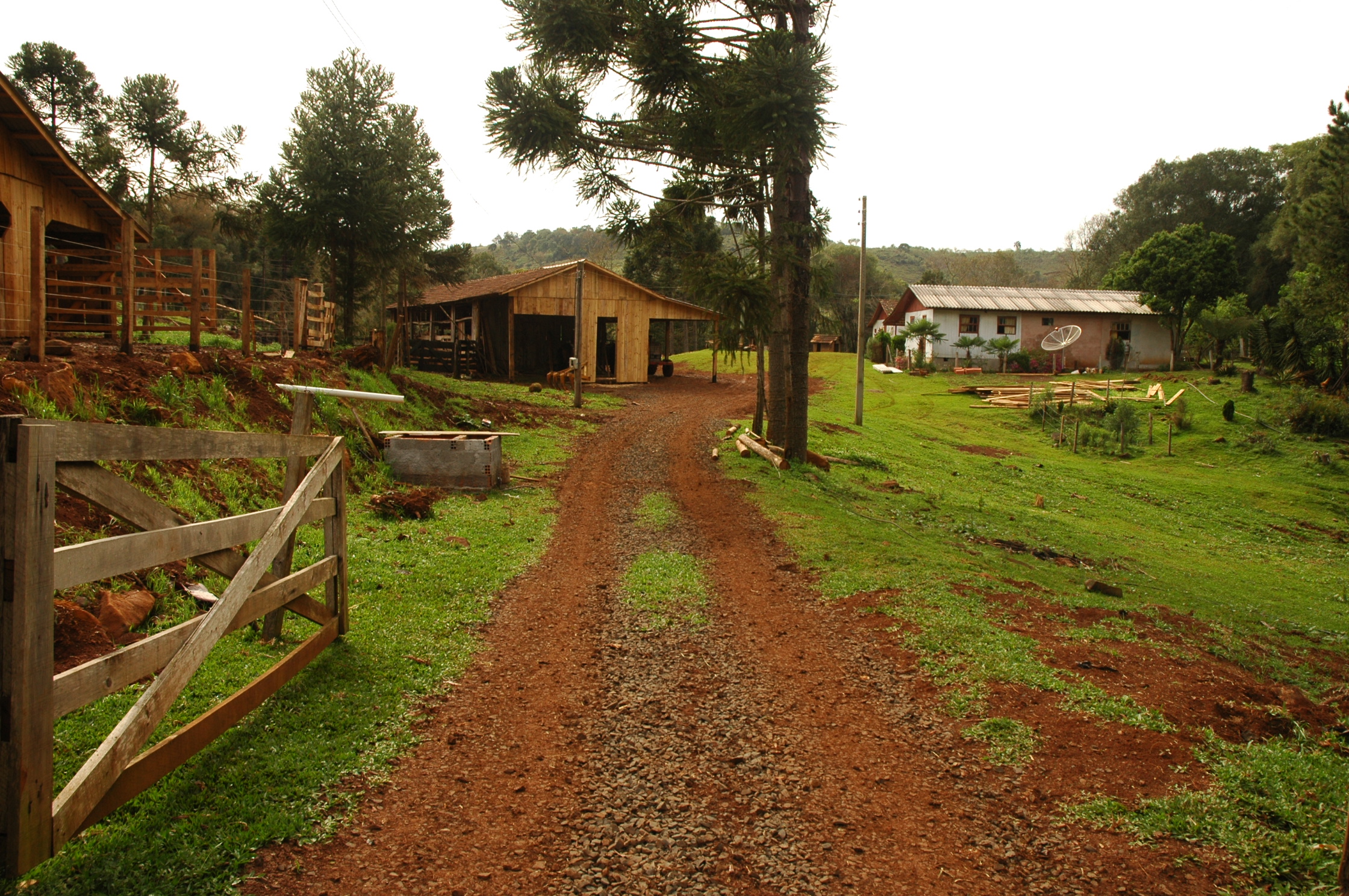 Leia mais sobre o artigo Jovens comandam propriedades rurais em São José do Cerrito