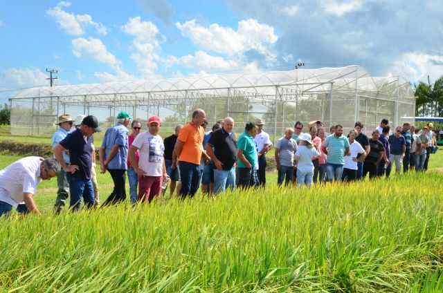 Leia mais sobre o artigo Epagri eleva número de atendimentos a famílias rurais e pesqueiras