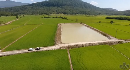 Read more about the article Armazenamento de água traz segurança para jovem produtor de arroz