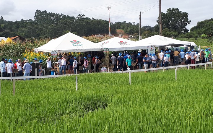 Read more about the article Epagri participa do maior evento tecnológico da agropecuária do Vale do Itajaí