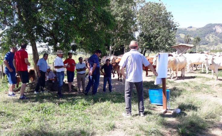 Leia mais sobre o artigo Produtores de Gravatal investem na pecuária de corte