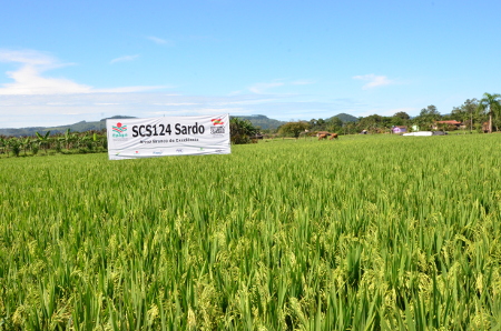 Leia mais sobre o artigo Cem dias fazendo mais e melhor na Epagri