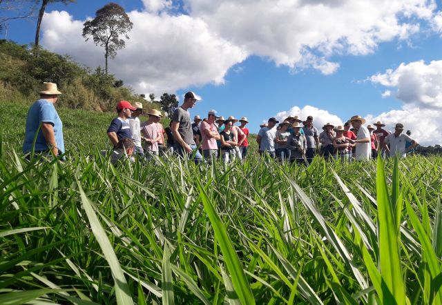 Leia mais sobre o artigo São Miguel do Oeste capacita Jovens Rurais em pecuária leiteira
