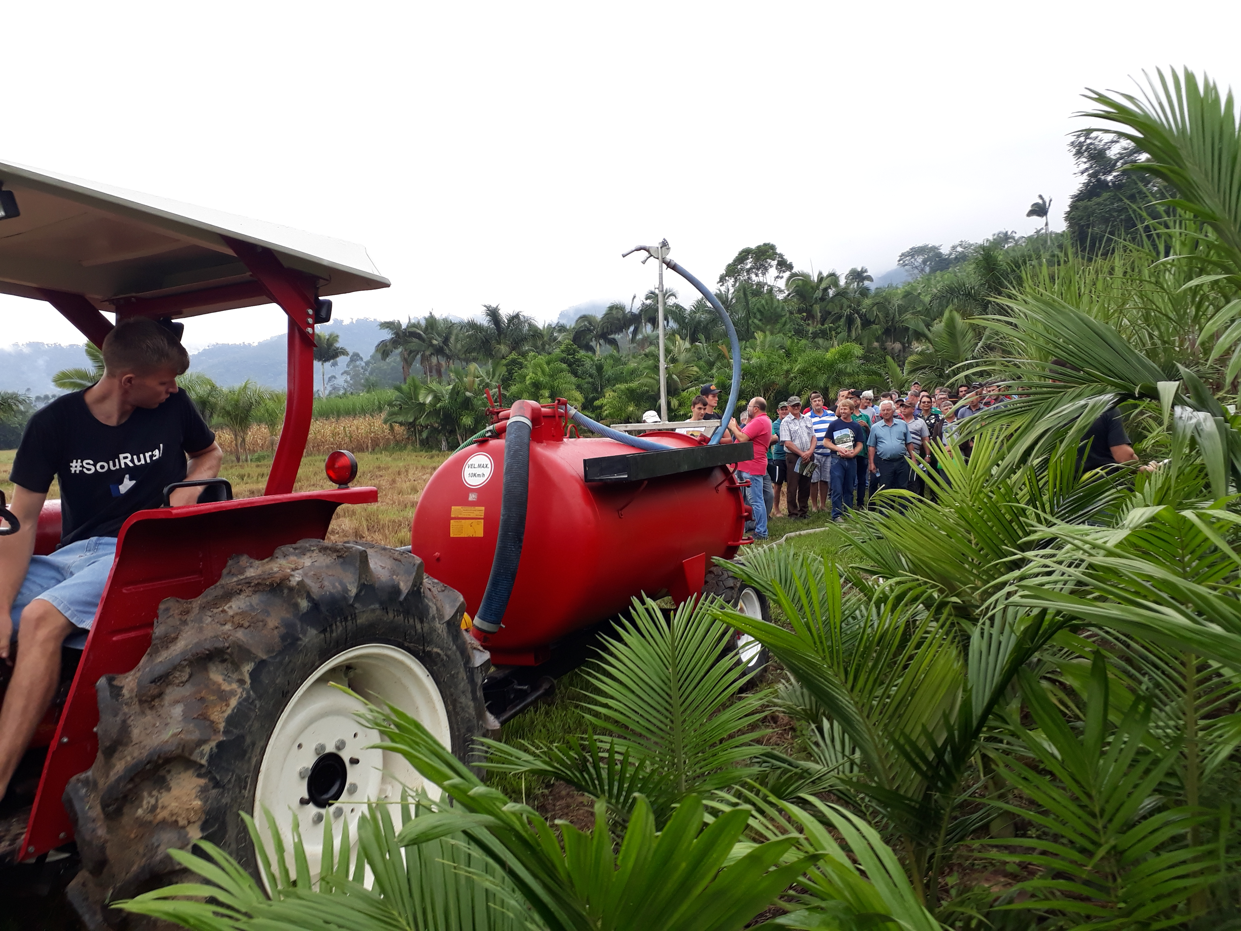 Leia mais sobre o artigo Jovem rural mostra o uso do biofertilizante em cultivo de palmáceas