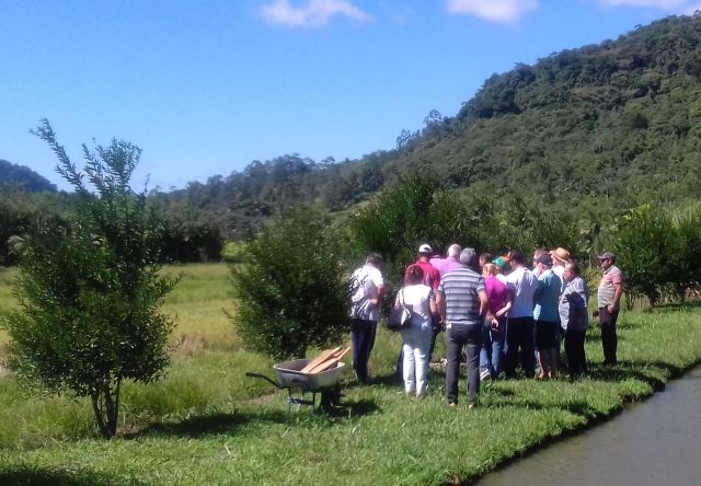 Leia mais sobre o artigo Agricultores de Rodeio recebem orientação em citricultura