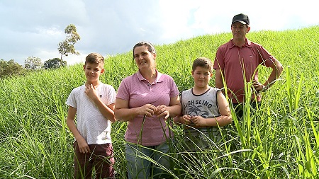 Leia mais sobre o artigo Projeto de produção de mudas de pastagem perene de verão envolve produtores de leite de São Lourenço do Oeste