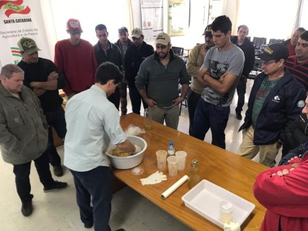 Leia mais sobre o artigo Manejo de inverno em colmeias garante a produtividade da macieira em São Joaquim