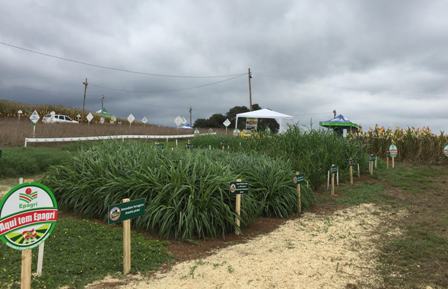 Leia mais sobre o artigo Epagri apresenta tecnologias na 2ª Expofeira de Campo Belo do Sul