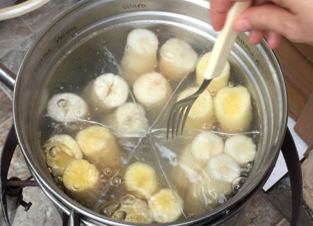 Leia mais sobre o artigo Agricultores de Seara testam novas variedades de aipim