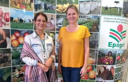 Leia mais sobre o artigo Epagri reforça Grupo Intersetorial da Mulher para ajudar no combate à violência no campo