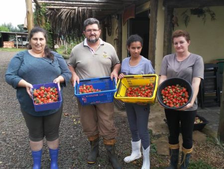 Read more about the article Agricultores de Frei Rogério investem na produção de alimentos limpos