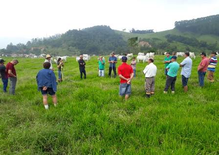 Leia mais sobre o artigo Criação de gado à base de pasto é tema de reunião técnica em Gravatal