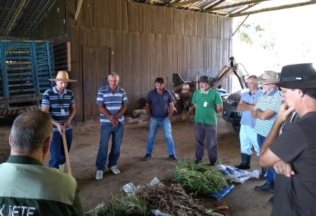 Leia mais sobre o artigo Pescaria Brava capacita produtores em pecuária de corte