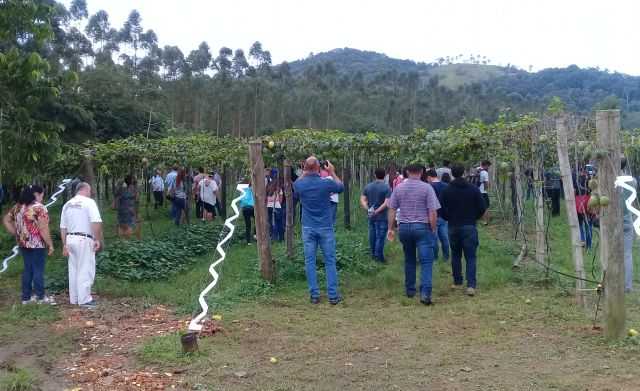 Leia mais sobre o artigo Seminário sobre maracujazeiro reúne 100 participantes em Araquari