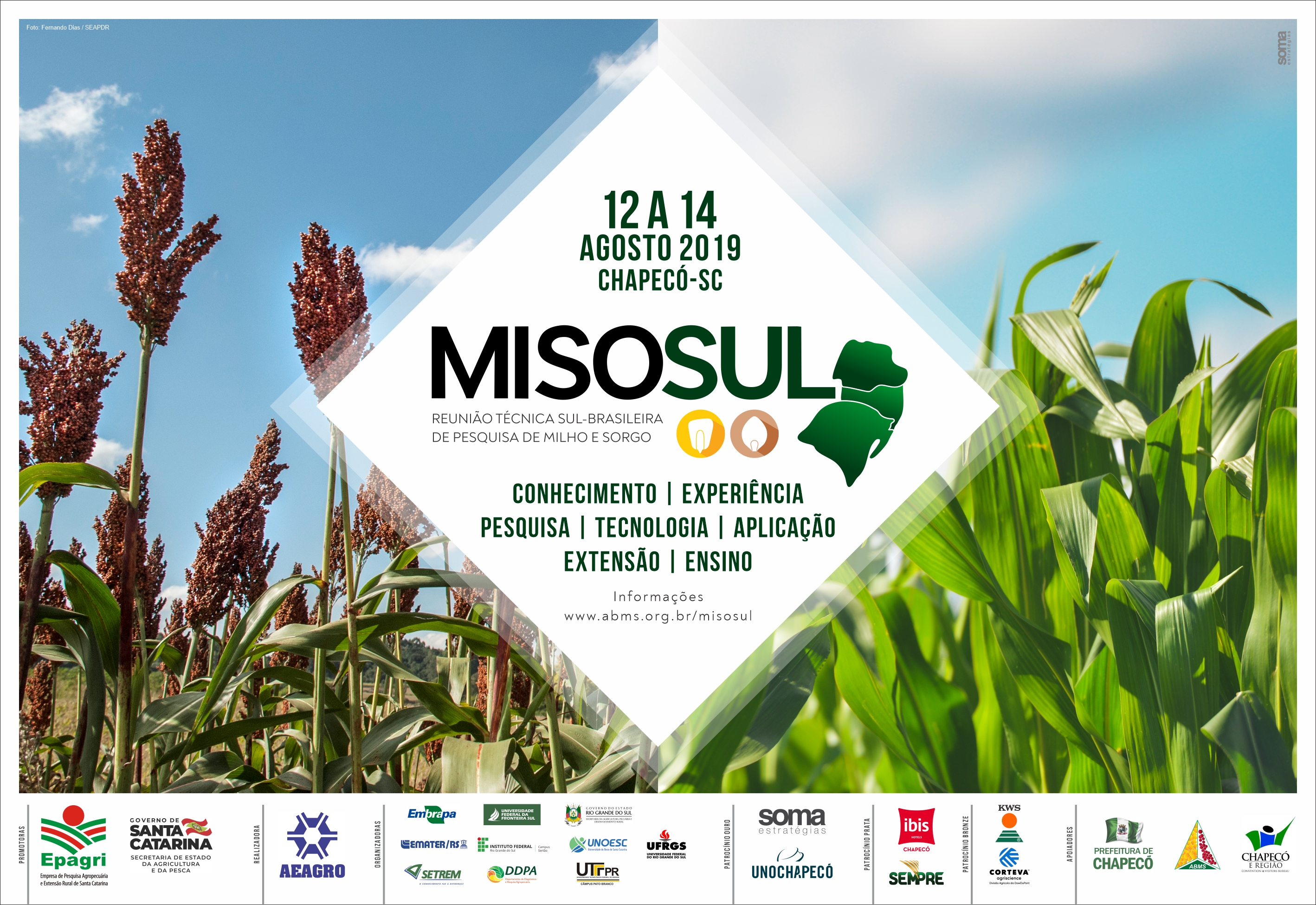 Leia mais sobre o artigo Inscrições abertas para evento sul-brasileiro sobre pesquisa em milho e sorgo