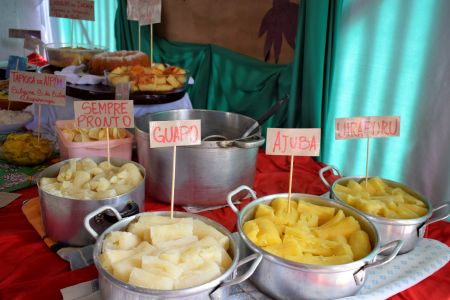 Leia mais sobre o artigo Dia de campo sobre o aipim mostra o desempenho das variedades da Epagri em Agronômica