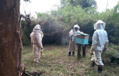 Leia mais sobre o artigo Epagri prossegue capacitação de jovens apicultores em Porto União