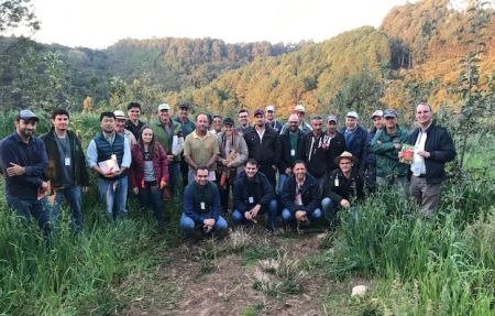 Leia mais sobre o artigo Dia de campo mostra o potencial da maçã em sistema orgânico