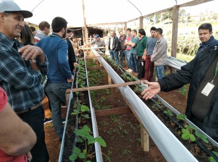 Leia mais sobre o artigo São Miguel do Oeste realiza 2º curso de produção de morangos