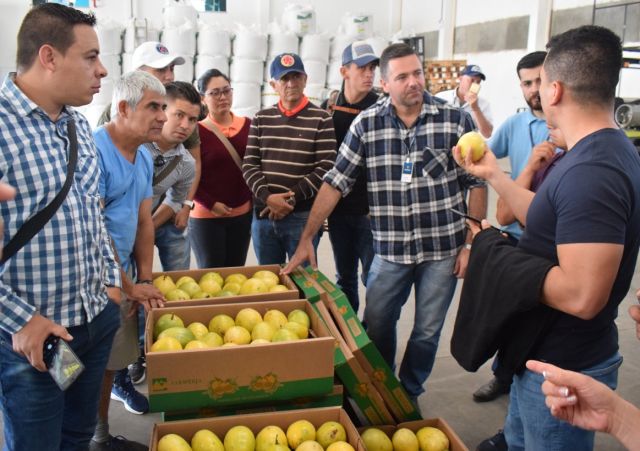 Leia mais sobre o artigo Comitiva colombiana conhece a produção de maracujá no Sul do Estado