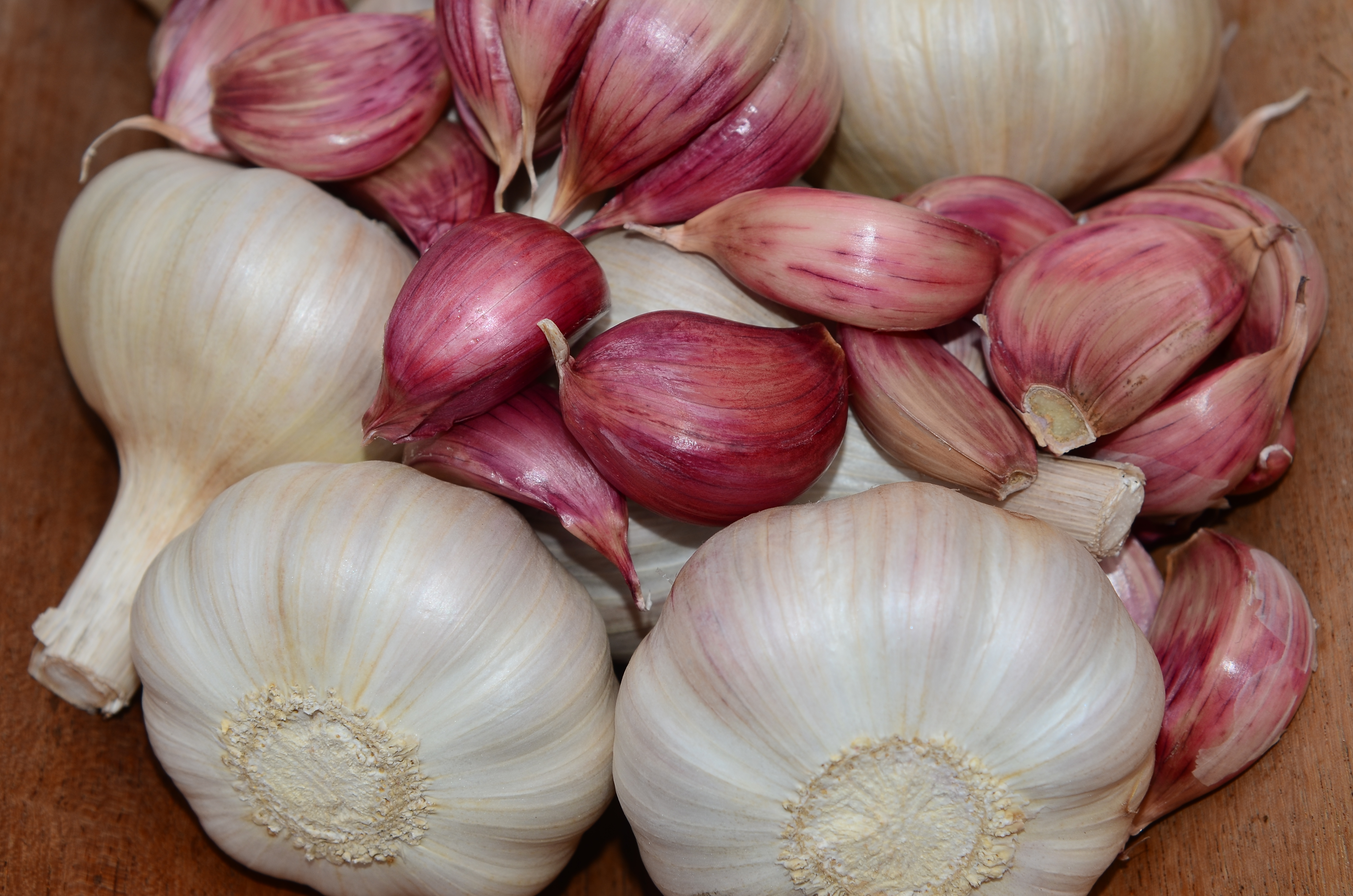 Leia mais sobre o artigo Boletim da Epagri/Cepa aponta bom preço para produtores de cebola e alho e queda nos valores de arroz, trigo e leite