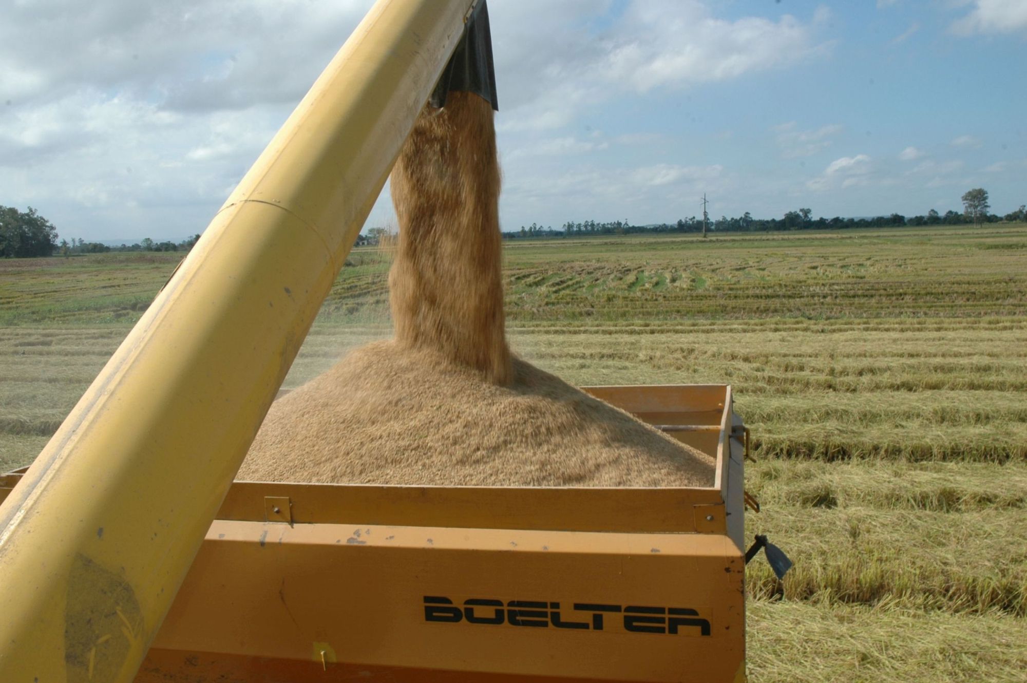 Leia mais sobre o artigo Congresso vai discutir inovação e desenvolvimento na cultura do arroz irrigado