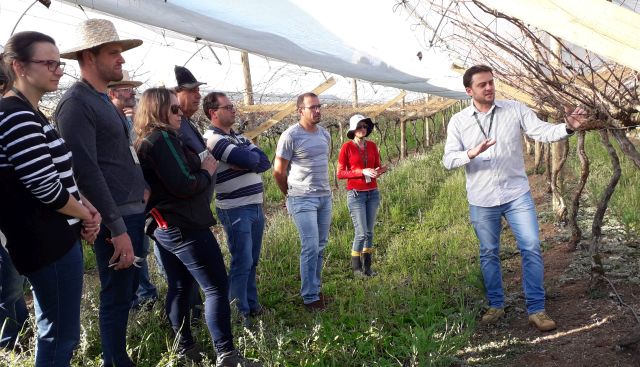 Leia mais sobre o artigo Epagri capacita seus técnicos em viticultura