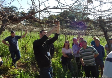 Leia mais sobre o artigo Cultivo de uva é tema de dia de campo em Abdon Batista