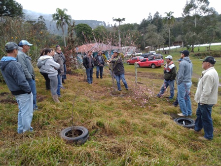 Read more about the article Irineópolis realiza reunião técnica sobre poda de árvores frutíferas