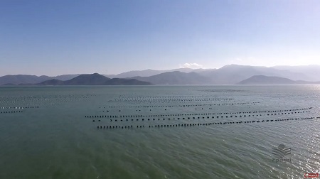 Leia mais sobre o artigo Epagri desenvolve novo modelo de previsão da qualidade da água