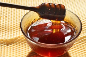 Indicações Geográficas de Santa Catarina: mel de melato da bracatinga