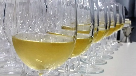 Leia mais sobre o artigo Concurso de vinho e sucos de uva incentiva produção no Planalto Norte