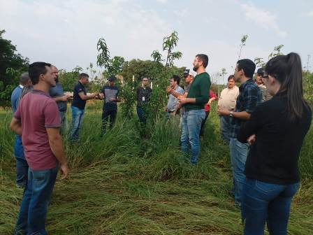 Leia mais sobre o artigo Manejo integrado de pragas melhora a produção do pessegueiro