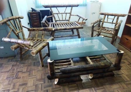 Leia mais sobre o artigo Bambu se torna alternativa de renda para o produtor catarinense