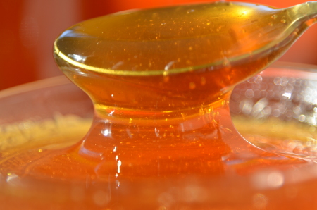 Leia mais sobre o artigo Santa Catarina tem o melhor mel do mundo