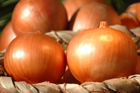 Leia mais sobre o artigo Sistema de alerta de doenças para a cultura da cebola ganha mais quatro estações agrometeorológicas