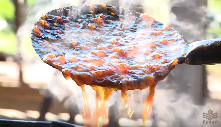 Leia mais sobre o artigo Comida como cultura: comunidade resgata receitas tradicionais em Peritiba