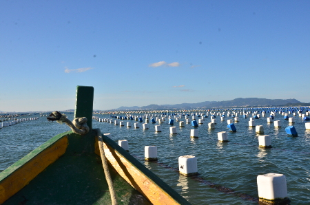curso maricultura em Florianópolis