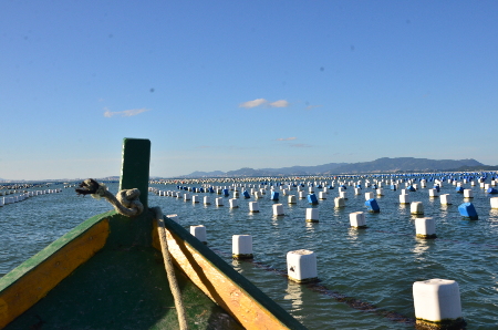 curso maricultura em Florianópolis 