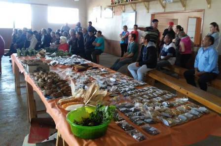 Leia mais sobre o artigo Oficina em Frei Rogério mostra a importância das sementes na diversidade alimentar