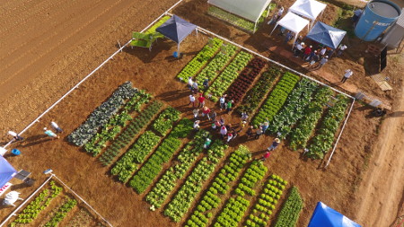 Leia mais sobre o artigo Artigo: Epagri e a agricultura sustentável