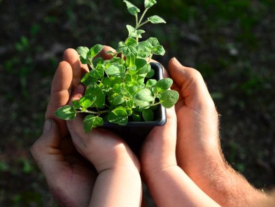 Leia mais sobre o artigo Educação ambiental é destaque no Panorama Agrícola