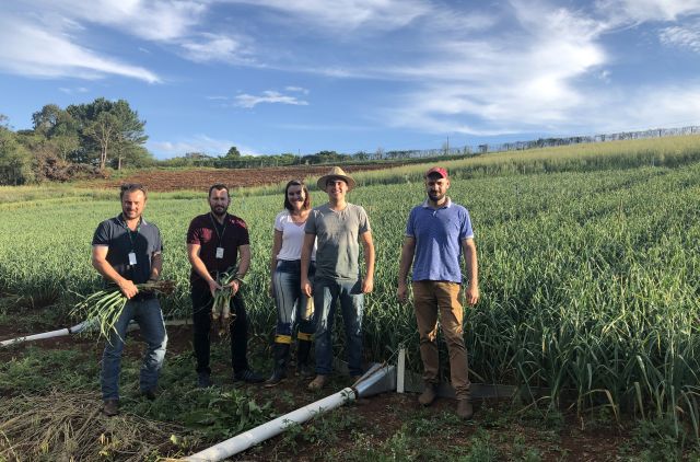 Leia mais sobre o artigo Manejo do alho reúne agricultores e técnicos na Epagri de Caçador