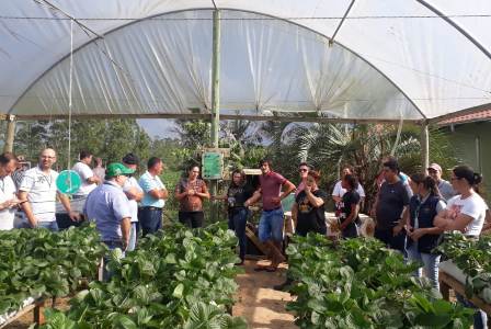 Read more about the article Curso sobre produção de morango semi-hidropônico atrai agricultores do Alto Vale do Itajaí