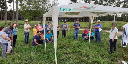 Leia mais sobre o artigo Dia de campo sobre pecuária leiteira reúne mais de 60 pessoas em Mafra