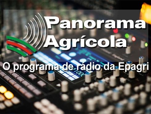 Leia mais sobre o artigo Rádio da Epagri destaca ações para produção de alimentos e segurança alimentar