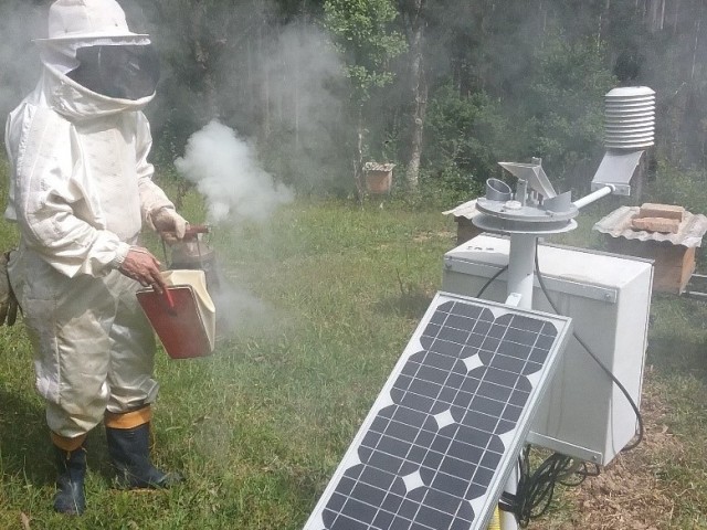 Leia mais sobre o artigo Epagri instala unidade de monitoramento de colmeias em Bela Vista do Toldo